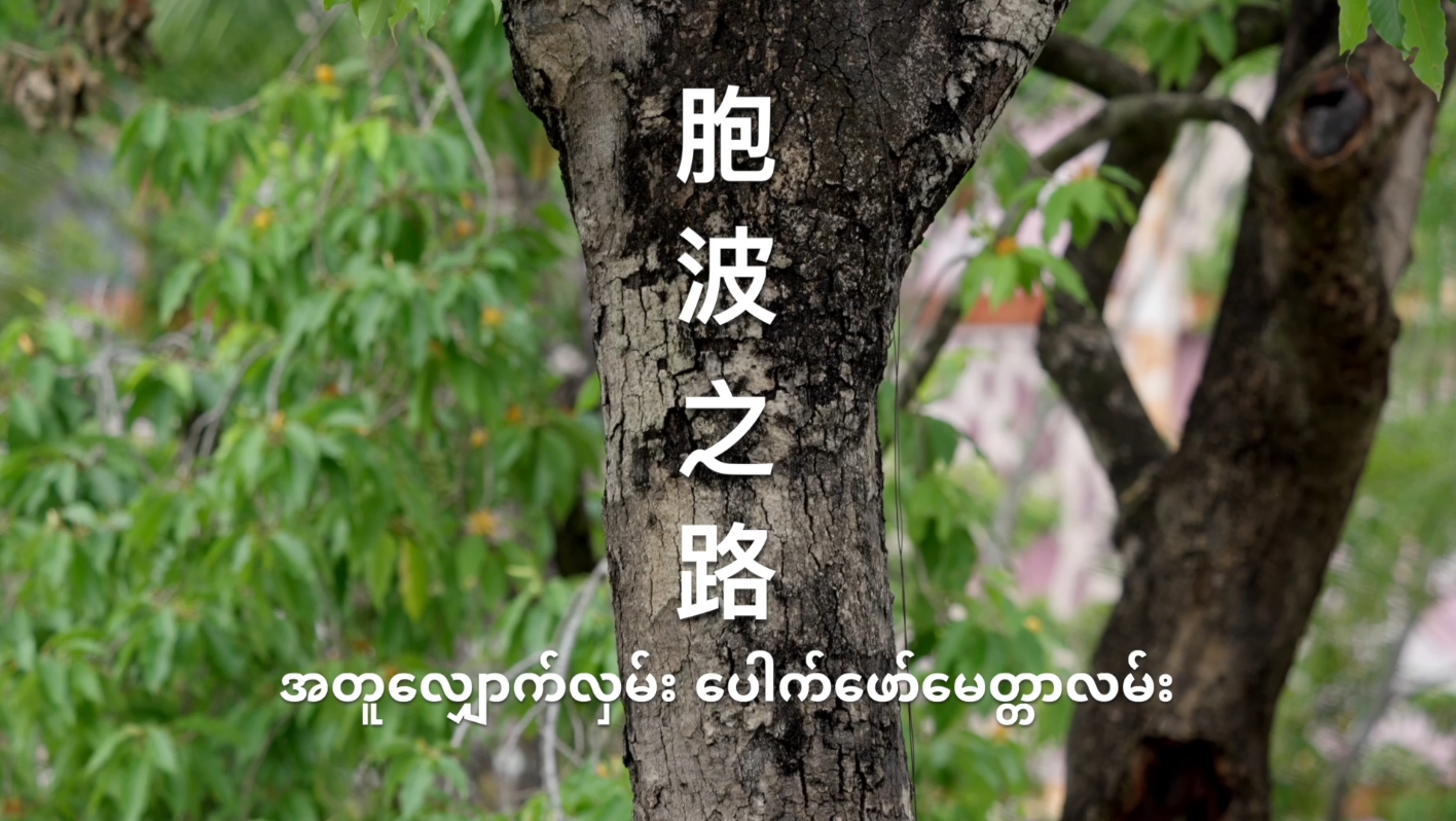 《胞波之路》《你好，胞波！》上线